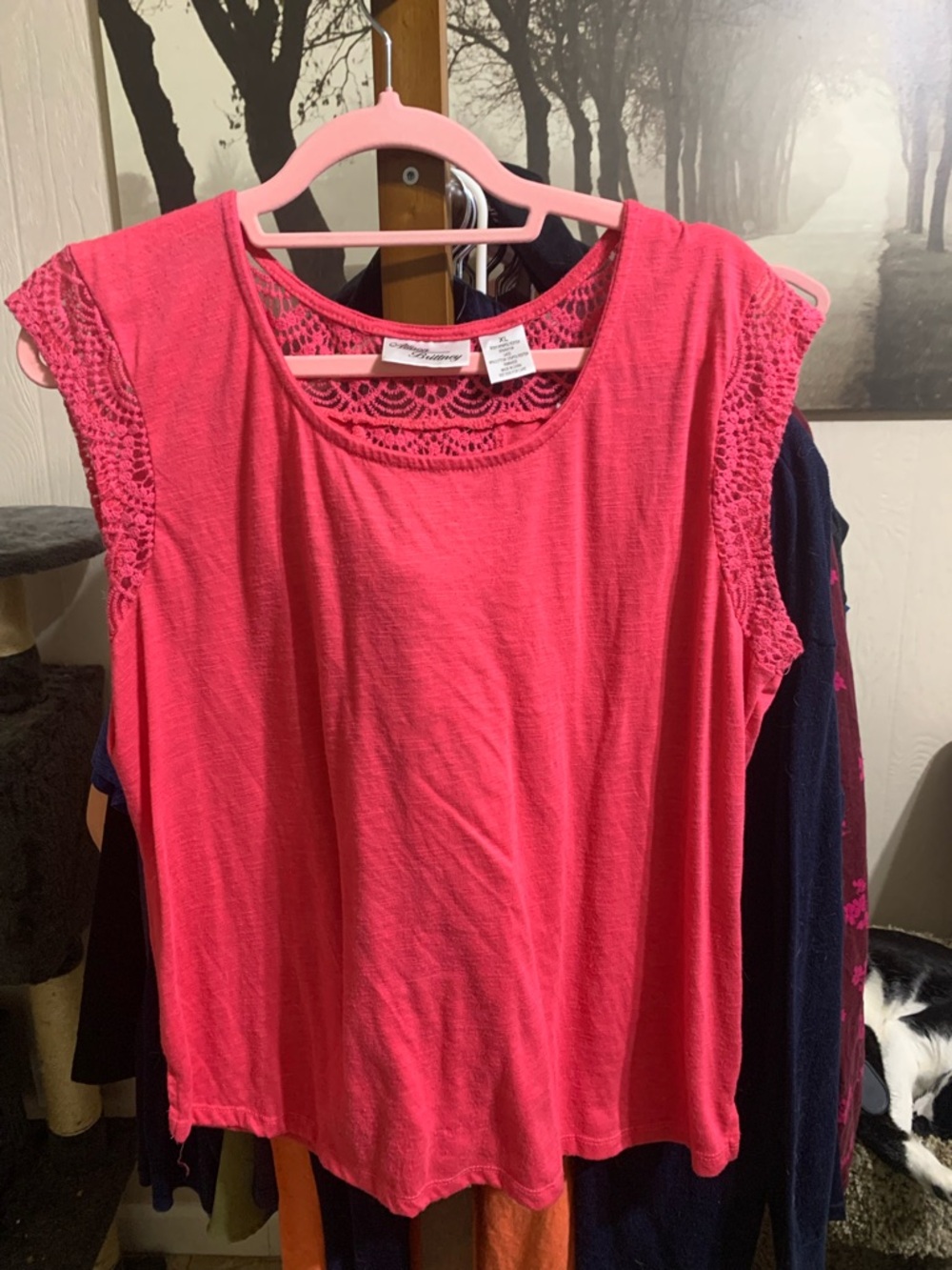 Allison Brittney Bright Pink Crochet Cap-Sleeve Tank Top